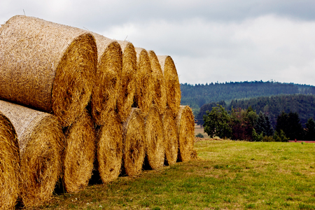 Hay bales on the field after harvest. A stack of hay.の写真素材