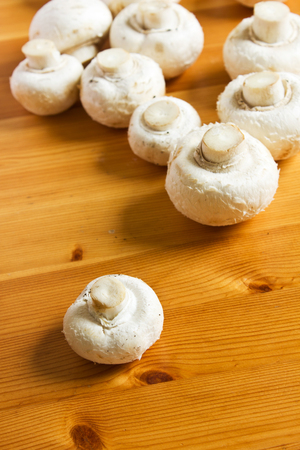 White raw champignon closeup lie on a wooden table. Top view of a group of mushrooms.の写真素材