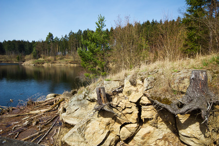 Forest landscape on a sunny day at the lake. Mixed forest, lake, rocky coast with stumps of trees and blue sky.の写真素材