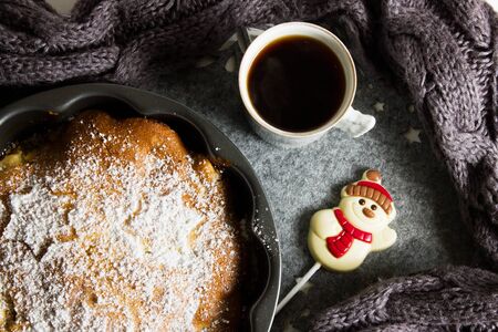 Traditional apple pie decorated with powdered sugar on a gray background. Winter and autumn baking. Festive table for Christmas.の写真素材