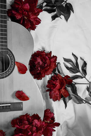 A black and white photo of acoustic wooden guitar lies on a white sheet surrounded by red peonies. Cover for music album, music concept, guitar playing, romantic serenadeの写真素材