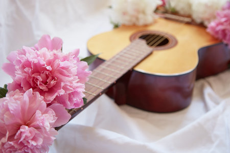 An acoustic wooden guitar lies on a white sheet surrounded by pink and white peonies. The concept of learning music, romantic serenade.の写真素材