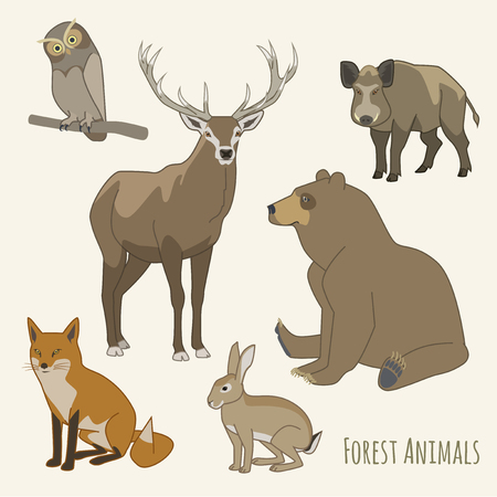 A set of six cartoon style drawings of forest animalsのイラスト素材