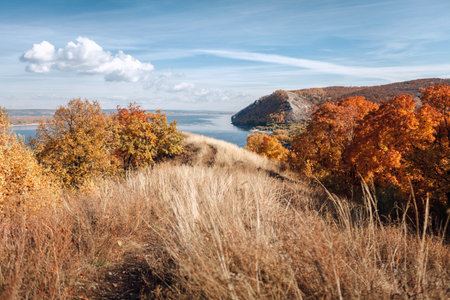 Autumn mountains in the fog. Trees covered with Golden leaves.
