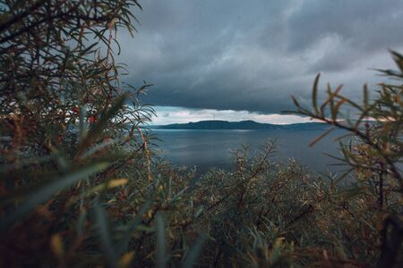 View of the sky and the mountains through a bushの写真素材