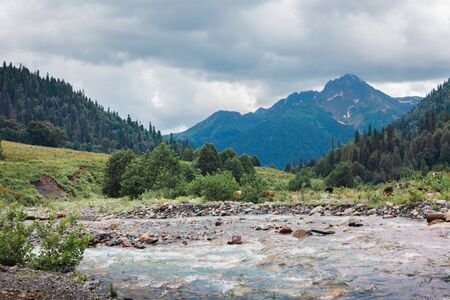 Beautiful views of Abhazia. Mountains, sea treesの写真素材