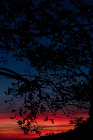 Beautiful and colorful sunset over the forest and riverの写真素材