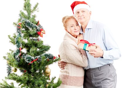 Portrait of senior couple posing near Christmas treeの写真素材