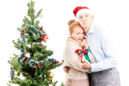 Portrait of senior couple posing near Christmas treeの写真素材