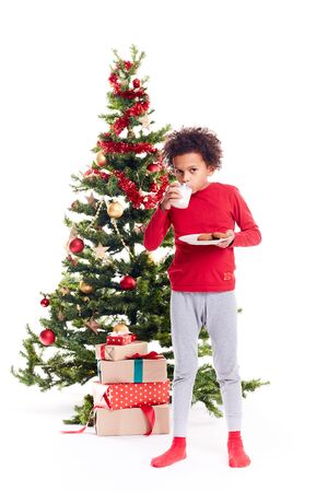 Portrait of cute mixed race little boy standing near Christmas tree with plate of cookies and glass of milkの写真素材