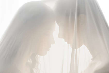 Calm young lesbo couple touching foreheads under veil against bright light, wedding conceptの写真素材