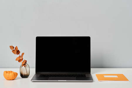 Autumn decoration on workplace with laptop, orange notebook, pumpkin, vase with twigの写真素材