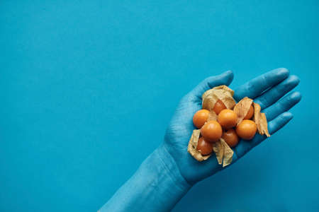 Directly above view of male hand painted in blue holding cape gooseberries against turquoise backgroundの写真素材
