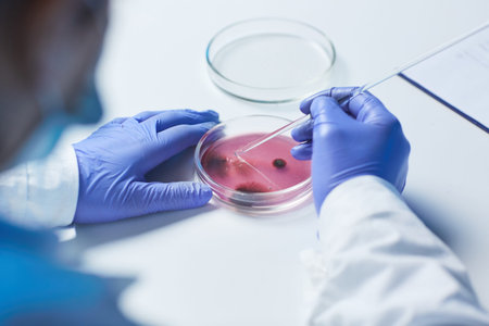 Over shoulder view of unrecognizable microbiologist in blue rubber gloves sitting at table and...