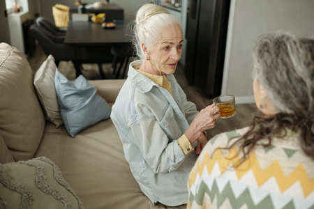 Elderly women with gray hair sitting on sofa and having a conversation, one holding a glass. The living room setting includes cushions and a dining table in backgroundの写真素材