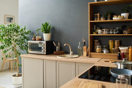 Modern kitchen interior featuring countertop with sink, electric stove, oven, potted plants, open...