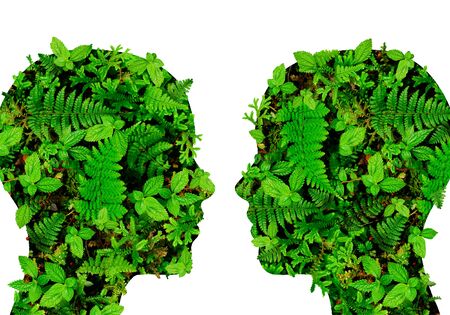 Silhouettes of human heads made of leaves and ferns forestの写真素材