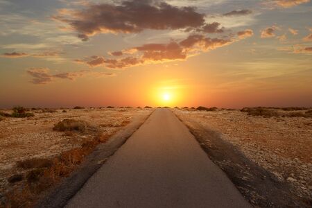 Road to horizon with sunsetの写真素材