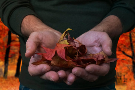 Hands with dry leaves