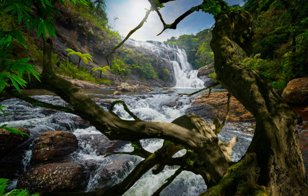 Waterfall in tropical jungles of Southeast Asiaの写真素材