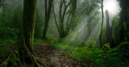 Tropical jungles of Southeast Asia