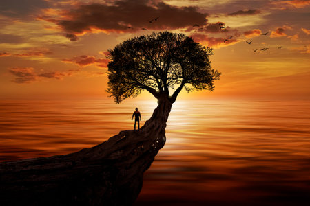 Man admiring a sunset at seaの写真素材