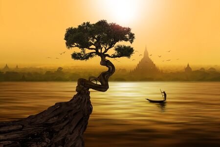 Twisted tree in front of lake and Buddhist temple in Baganの写真素材