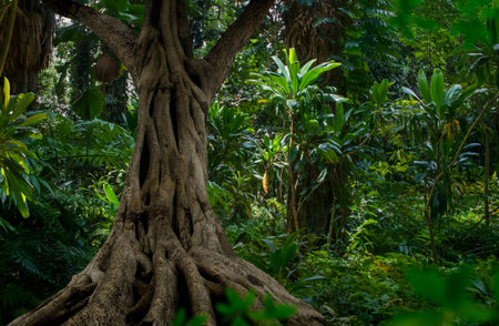 Tropical jungles of Southeast Asia