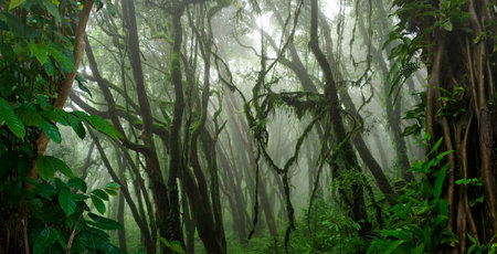 Tropical jungles of Southeast Asia