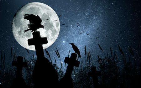 Panoramic cemetery with a raven on a crossの写真素材