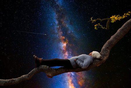 Woman observes the universe on the trunk of a large treeの写真素材