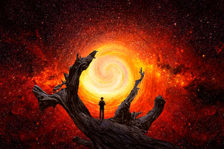 Man observes the space on the trunk of a large treeの写真素材