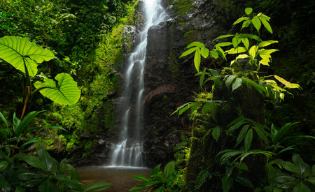 Tropical waterfall in rainforest, Bali island, Indonesiaの写真素材