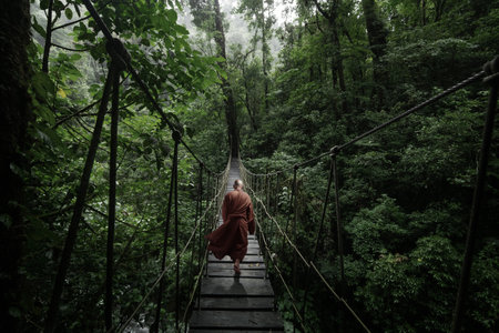 Buddhist monk walking on a suspension bridge in deep forest.の素材