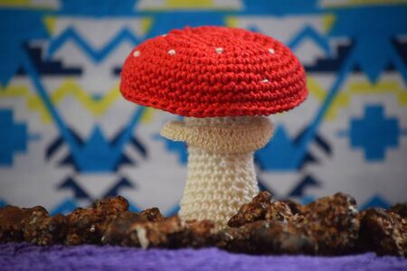 Amanita Muscariaの写真素材