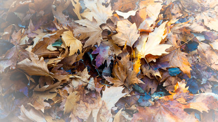 colors