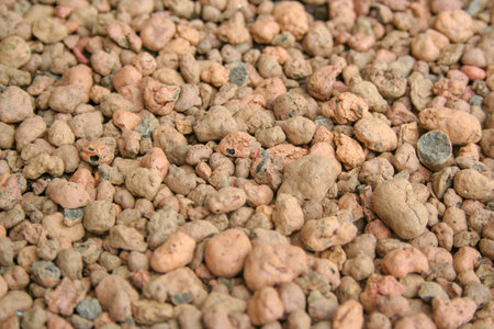 Gravel texture close up, background for design