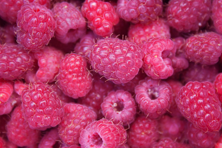 Heap of red tasty raspberries. Raspberries backgroundの写真素材