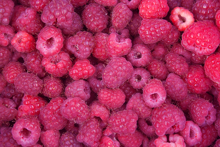 Heap of red tasty raspberries. Raspberries backgroundの写真素材