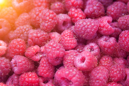 Heap of red tasty raspberries. Raspberries backgroundの写真素材