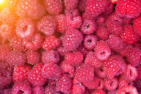 Heap of red tasty raspberries. Raspberries backgroundの写真素材