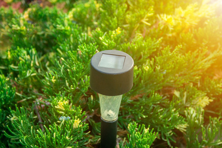 Solar Flashlight for Garden in the Juniper Bushの写真素材