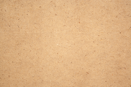 Granular plywood texture. Place for text. Background for designの写真素材