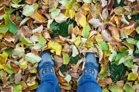 Man's legs in sneakers standing on fallen leaves. Autumn conceptの写真素材