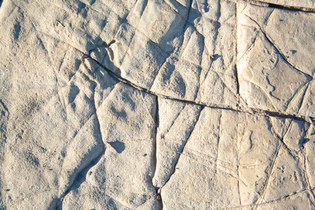 Stone texture close-up. Old aged stone surface on sun backgroundの写真素材