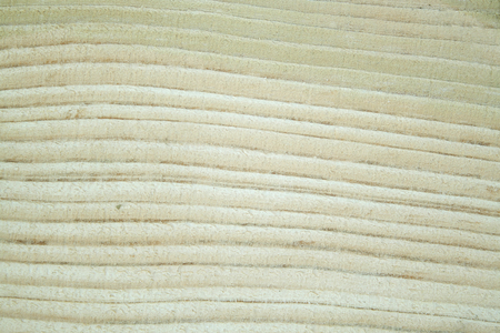 Bright wood texture close up. Wooden background. Texture for designの写真素材
