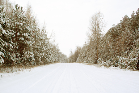 Snow covered road with trees on side at winter day. Unpeeled road, Winter drivingの写真素材