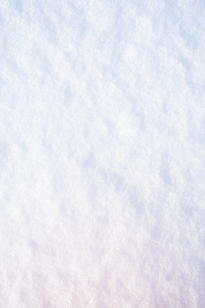 Snow surface background close up at sunny winter dayの写真素材