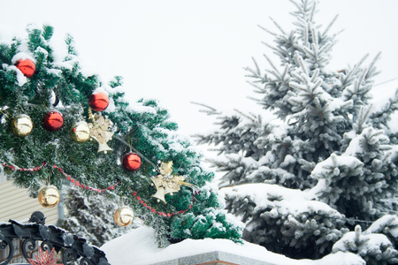 Christmas decorations with balls and bells near pine at snowの写真素材