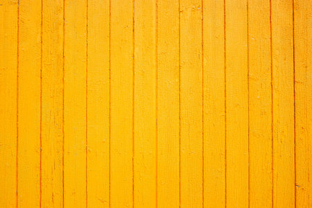 Wooden yellow wall texture. Grain wood background. Place for text. Texture for design. Bright woodの写真素材